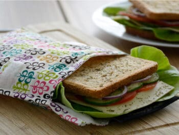 Best Reusable Sandwich Bags